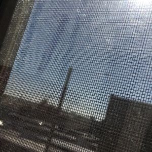 Meet your Posher, Rosie